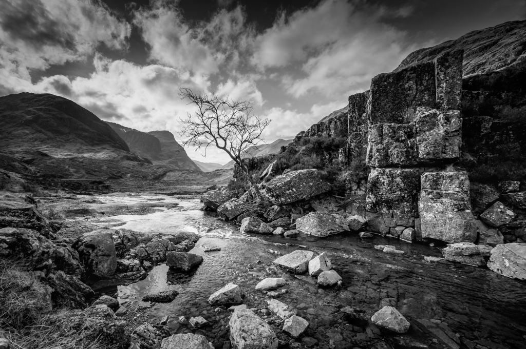 3 sisters tree, Glencoe